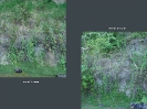 CryENGINE2_43
