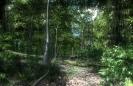 Crysis1 Screenshot_104