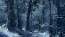 Crysis1 Screenshot_98